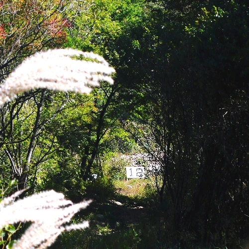 SE-ee40c40e-d146-43cf-bfbc-cfc28ddff373.jpg?type=w1