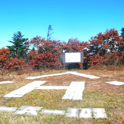 SE-5324e958-5435-4bfa-86d5-3438ae5e39ae.jpg?type=w1