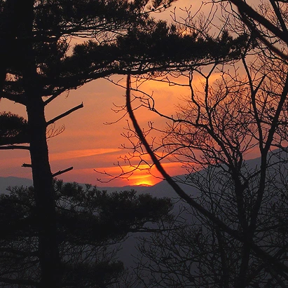 SE-60e4189c-0f2d-4b90-a05f-8ac9e7f82efe.jpg?type=w1