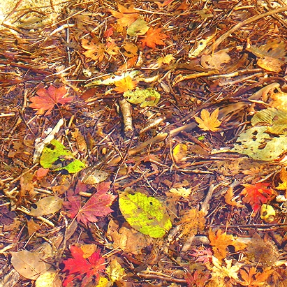 SE-36d5aafb-d0d6-419b-a53e-568effefff73.jpg?type=w1