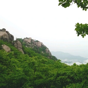 SE-3b8992fc-d43a-4fe7-ad32-bc3741093322.jpg?type=w1