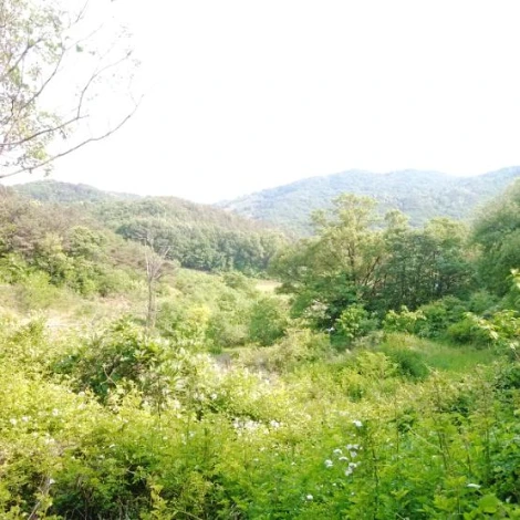 SE-cf9c383c-c2f7-4637-9390-52001cd34078.jpg?type=w1