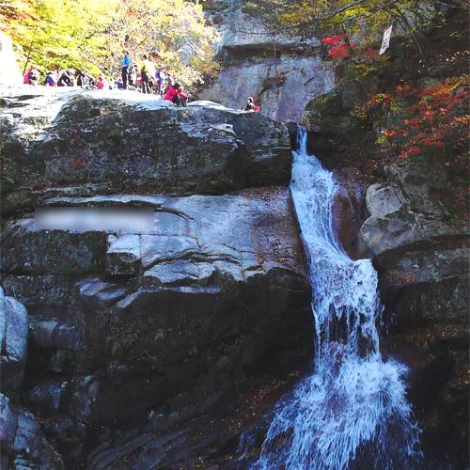 SE-406ddfa9-de9c-4157-9374-ab7f990716e9.jpg?type=w1