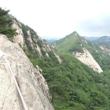 SE-3c6f48fb-4ae7-4f75-aea0-37b7609a343c.jpg?type=w1