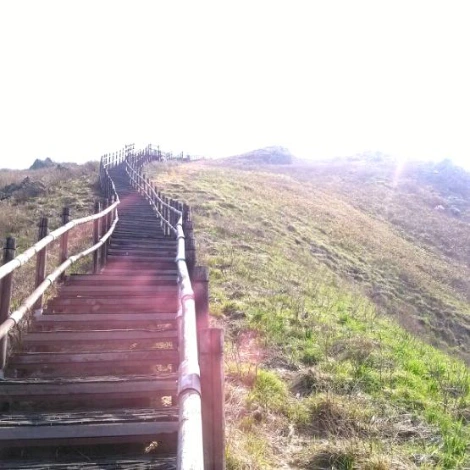 SE-009a81c0-b881-41b6-92f4-cd9975171400.jpg?type=w1