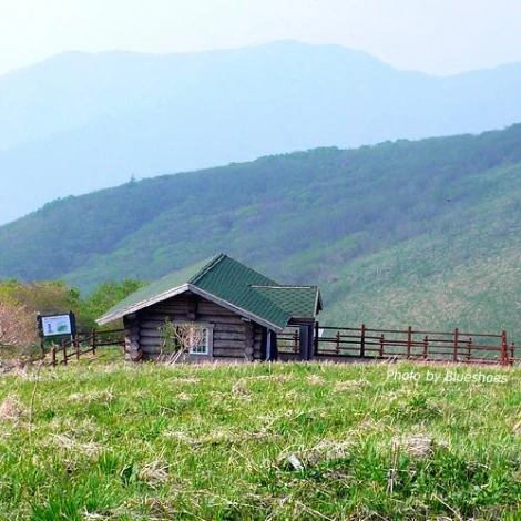 SE-4f79595c-4ef4-4ce9-bc7d-f9dc4f2f83e7.jpg?type=w1