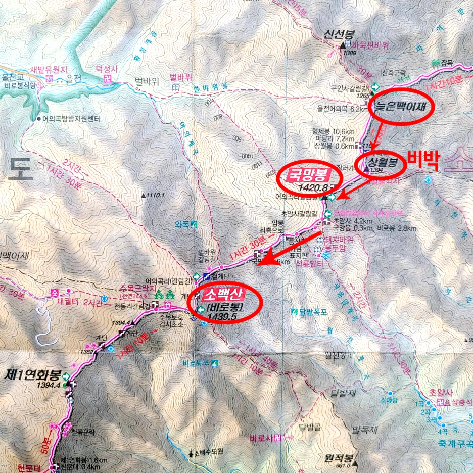 SE-a6b15a20-d34a-4488-810b-59b85af20d6a.png?type=w1