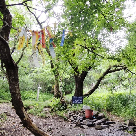 SE-ff4e430a-d8b7-49ce-8dee-44bcb8240a8a.jpg?type=w1