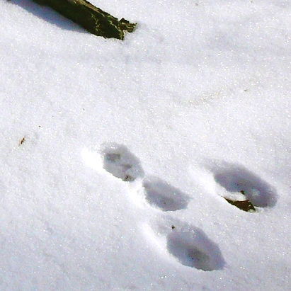 SE-08acaf5f-17be-4134-b32e-22a57f8283e7.jpg?type=w1