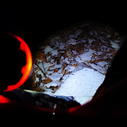 SE-7db61c8e-c13e-4cfc-8d4c-31d9188f2d64.jpg?type=w1