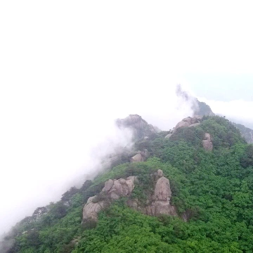 SE-8f17836c-c2ca-4a8f-810e-21e9e3962806.jpg?type=w1