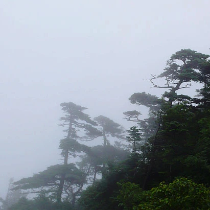 SE-7bc920f5-38b6-45a4-8216-26fcb8d0045c.jpg?type=w1