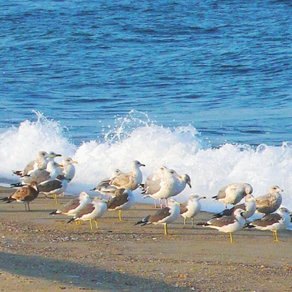 SE-fcdfe866-e3e2-46a1-8ec1-898e7f5e6c13.jpg?type=w1