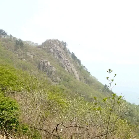 SE-5b103b9f-441b-4ba2-87fd-1805e4d5c1ad.jpg?type=w1