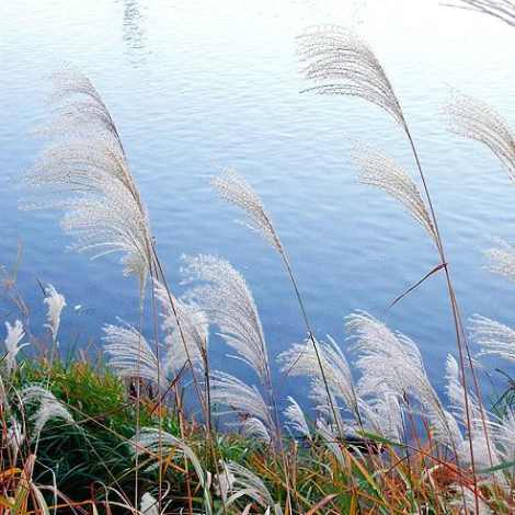 SE-3b2076b0-367a-45a1-919d-fda8315ef3d6.jpg?type=w1