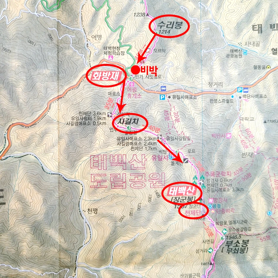 SE-b11ae41c-ad06-4d6f-9fc5-38a5a09e389b.png?type=w1