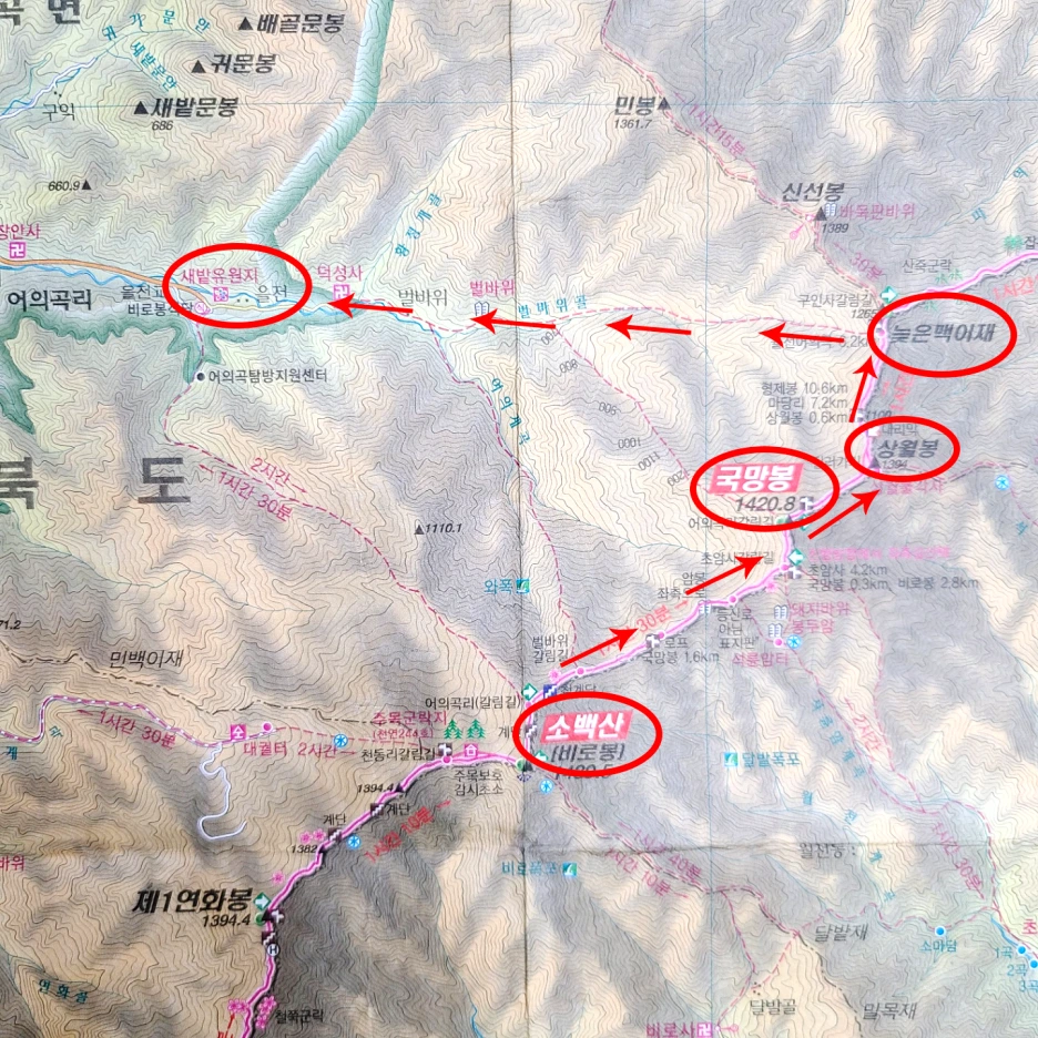 SE-56c52b42-6680-457d-9e7d-23c2e71543aa.png?type=w1