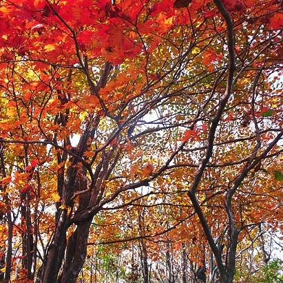 SE-13e5d3eb-0fed-4dd9-b1d4-063bd1910ce1.jpg?type=w1