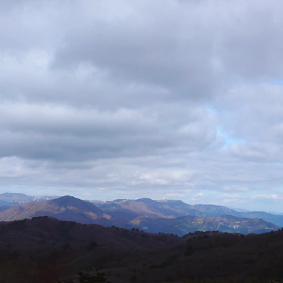 SE-6bf95d31-067d-4351-8f37-9d1074cdee7d.jpg?type=w1