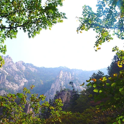 SE-43500528-859c-447a-8f70-08c904298cfb.jpg?type=w1