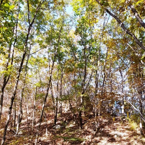 SE-bbf2beb5-eb42-4d78-a9e1-66948fc8852a.jpg?type=w1