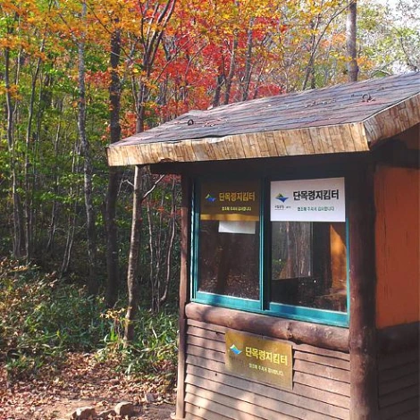 SE-bdbd03b2-a7d0-40ff-bce3-2139efe6d93f.jpg?type=w1