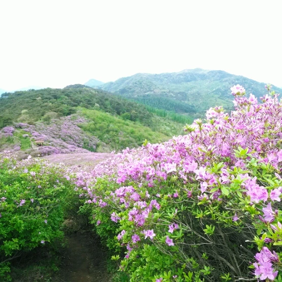 SE-2a9d69c4-928b-43df-b712-b5cfada45811.jpg?type=w1