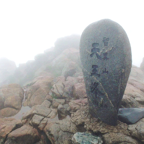 SE-66d972c5-a831-4fdf-a81a-2e9af8092323.jpg?type=w1