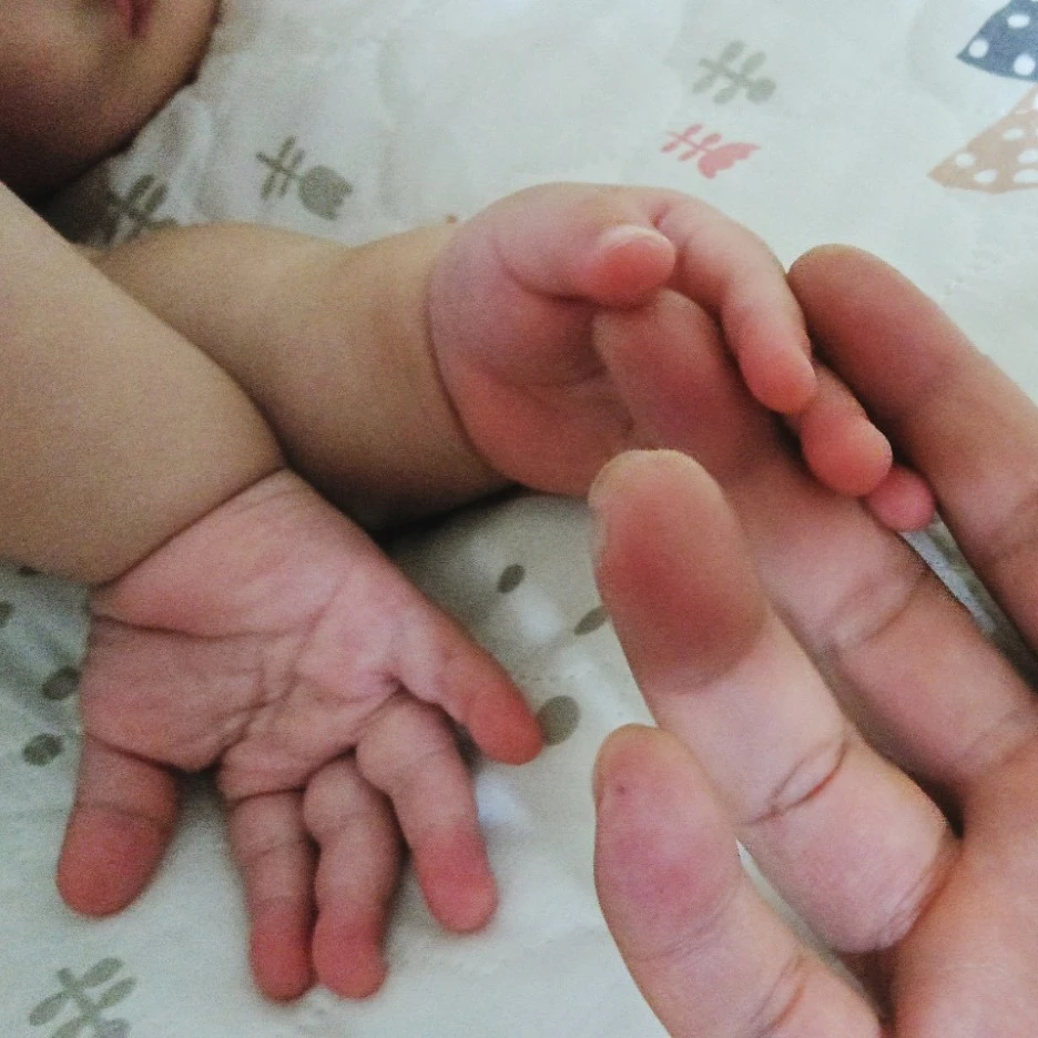 SE-7cca6689-e331-4a9c-8769-f048e1b6accc.jpg?type=w1