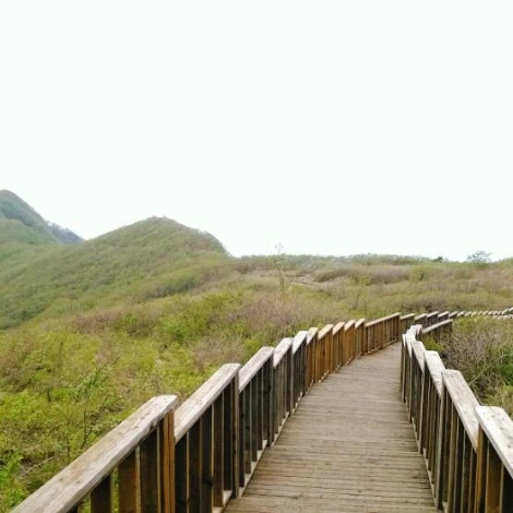 SE-582e7854-ac45-4ab0-b73f-5b17f782bca8.jpg?type=w1