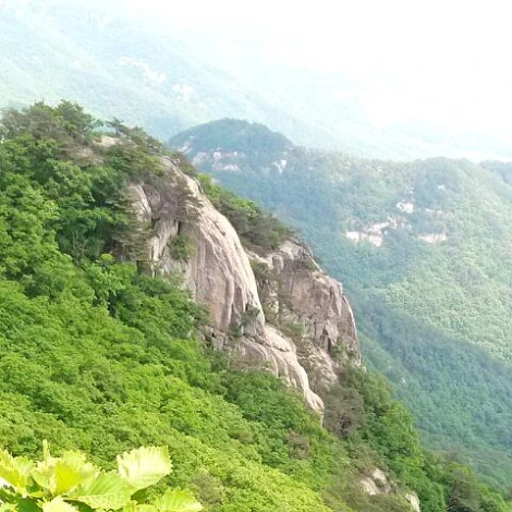 SE-167ed997-3d7e-4e01-8cc0-ef9102f5c850.jpg?type=w1