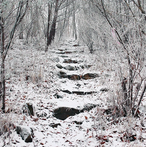 SE-1d5313af-fd5d-4c98-b7a3-1b961d161c04.jpg?type=w1