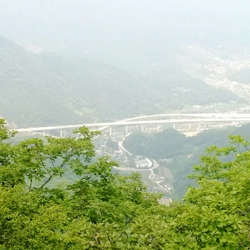 SE-a9f69e92-60f2-4751-8266-95f192283d16.jpg?type=w1