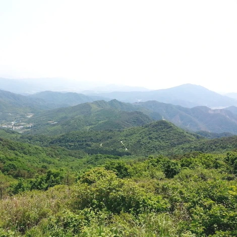 SE-9c72e383-c590-4369-a90c-9866fd3e5f3d.jpg?type=w1