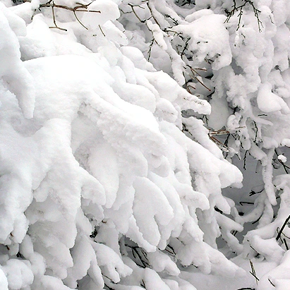 SE-cffa9e37-b010-425b-a7c1-0fc9363fd54d.jpg?type=w1