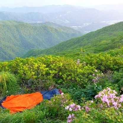 SE-6f60075b-d7d0-4ec8-a0f9-2c755bf2fd7a.jpg?type=w1