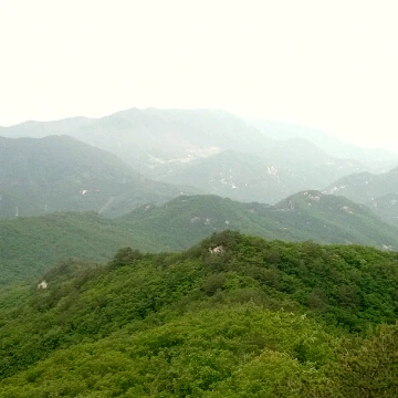 SE-25a20dc3-b96d-48cf-b34b-92e71eff929d.jpg?type=w1