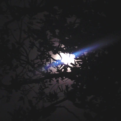 SE-3495a414-76d1-40ab-89f1-72139dbf2ec3.jpg?type=w1