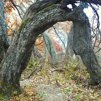 SE-c3ae7f93-1b3c-49a3-88b9-fc47de7e0cda.jpg?type=w1