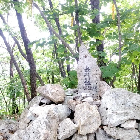 SE-adc976f1-7416-4b14-85ae-6e9f97cc2961.jpg?type=w1