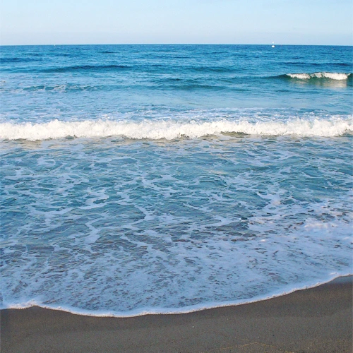 SE-88eac08a-0eee-4177-8d4e-bdb5b6573902.jpg?type=w1