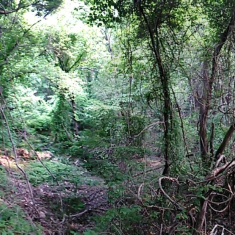 SE-01ff4376-acf4-461c-a3ee-3ec187811628.jpg?type=w1