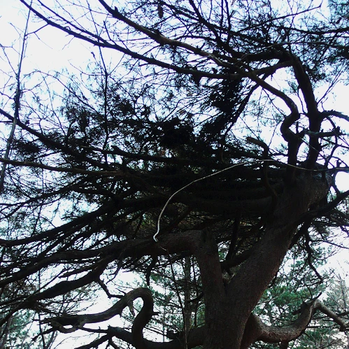 SE-338e3060-1cce-4b2f-84f8-f36f7b2df79e.jpg?type=w1