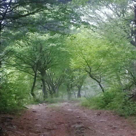 SE-e96e76a8-f593-4f86-b141-03650ab0c42a.jpg?type=w1