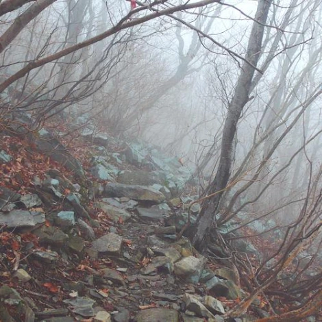 SE-3dcf71ef-7f28-401c-8521-ad4af04e4570.jpg?type=w1