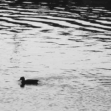 SE-61bbfc99-e18b-42f2-9026-3c6bf7ace8d3.jpg?type=w1