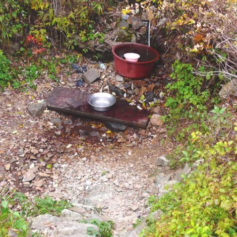 SE-77463605-d9af-401a-a85b-59ee808a8b1a.jpg?type=w1