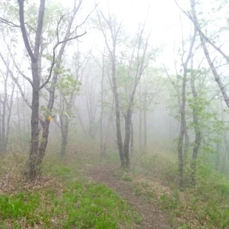 SE-5fe433de-e894-4df3-9486-ddb8f552a32d.jpg?type=w1