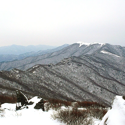 SE-4c945b1c-4781-4ac4-9a8b-2fa051ff3f21.jpg?type=w1