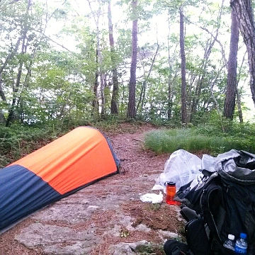 SE-8b2154a7-3e1b-44c9-823e-7764d36afec8.jpg?type=w1